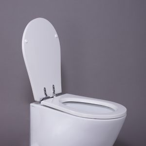 CAPAC WC PILLOW INCHIDERE LENTA