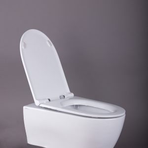 CAPAC WC LOVER INCHIDERE LENTA